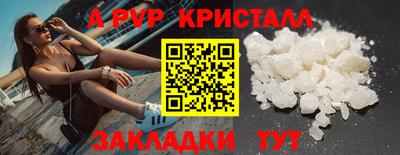 прущие грибы Тула