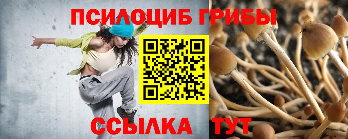 Псилоцибиновые грибы мицелий Железногорск